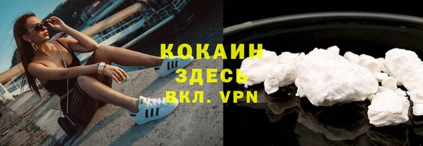 эйфоретик Богданович