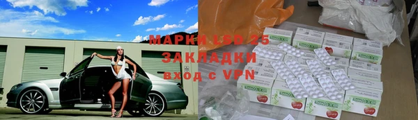 эйфоретик Богданович