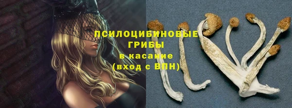 гашишное масло Богородицк