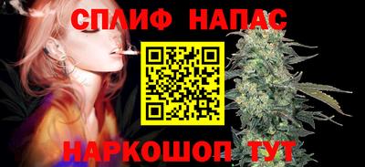 СК Донской