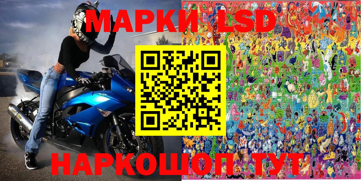 Наркотические марки 1500мкг  Наркотические марки 1500мкг  Богородск  Вход с VPN 