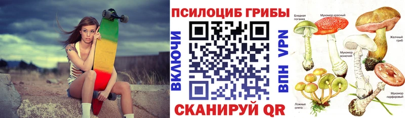 закладки  Богородск  Галлюциногенные грибы ЛСД 