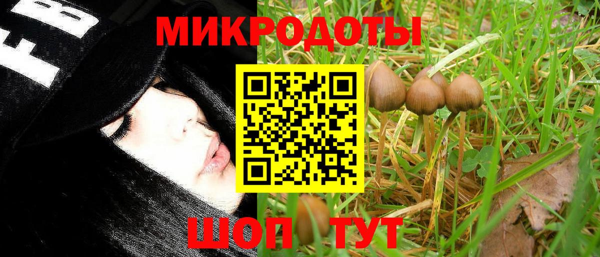 Богородск  Псилоцибиновые грибы ЛСД  Вход с VPN 